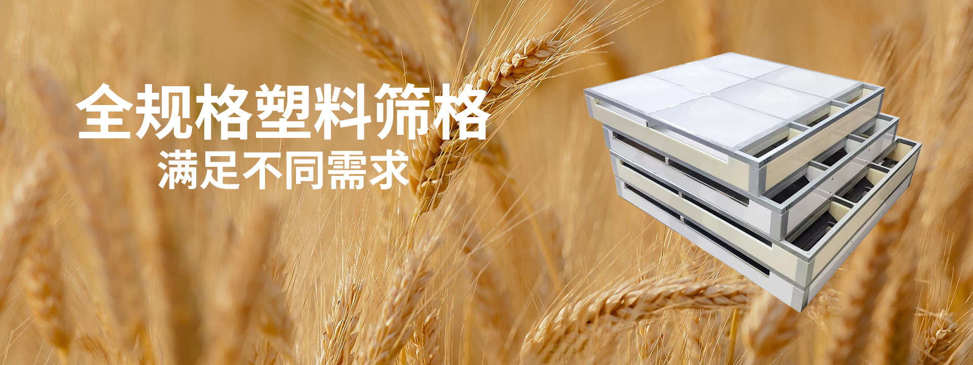 塑料筛格